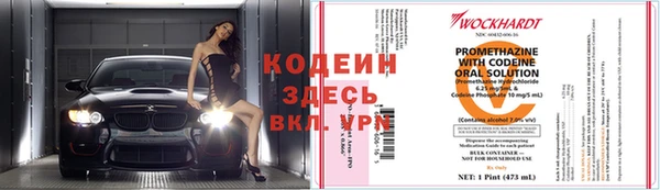 бошки Алзамай