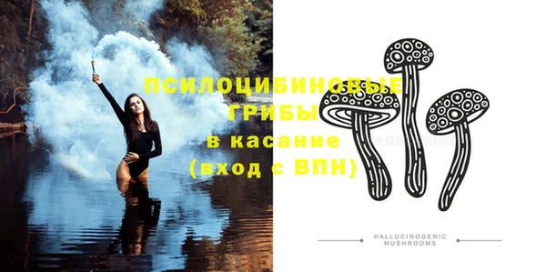 ГАЛЛЮЦИНОГЕННЫЕ ГРИБЫ Алексин