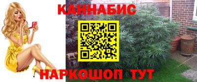 крисы Малгобек