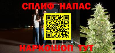 стаф Малоярославец