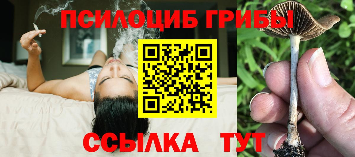 Галлюциногенные грибы прущие грибы  Вход с VPN  Шуя  Псилоцибиновые грибы Magic Shrooms 